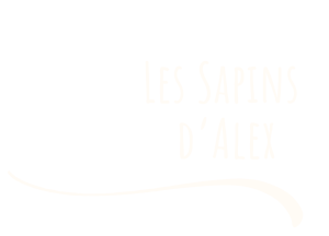 logoSA-carreblanc